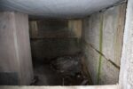 hkb_13-983_elgsnes_2023_080