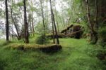 hkb_15-981_kirkoen_2023_016