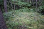 hkb_15-981_kirkeoen_2025_003