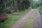 hkb_15-981_kirkeoen_2025_005