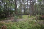 hkb_15-981_kirkeoen_2025_014