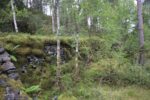 hkb_15-981_kirkeoen_2025_055