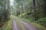 hkb_15-981_kirkeoen_2025_074