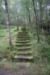 hkb_15-981_kirkeoen_2025_075
