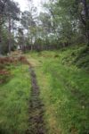 hkb_15-981_kirkeoen_2025_076