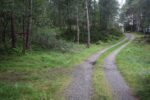hkb_15-981_kirkeoen_2025_081
