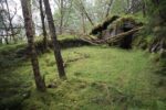 hkb_15-981_kirkeoen_2025_084