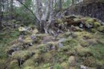 hkb_15-981_kirkeoen_2025_106