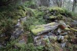 hkb_15-981_kirkeoen_2025_124