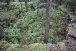 hkb_15-981_kirkeoen_2025_126