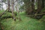 hkb_15-981_kirkeoen_2025_145