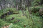 hkb_15-981_kirkeoen_2025_148