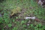 hkb_15-983_aspenes_2023_003