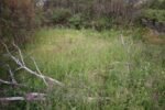 hkb_15-983_aspenes_2023_021