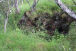 hkb_15-983_aspenes_2023_030