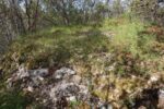 hkb_15-983_aspenes_2023_036