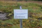 hkb_16-974_groensviken_2016_004