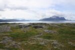 hkb_16-974_groensviken_2016_064
