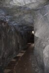 hkb_16-974_groensviken_2023_033