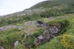 hkb_16-974_groensviken_2023_039