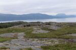 hkb_16-974_groensviken_2023_071