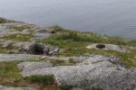 hkb_16-974_groensviken_2023_093