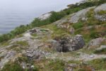 hkb_16-974_groensviken_2023_095