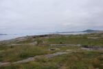 hkb_16-974_groensviken_2023_103