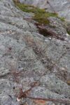 hkb_16-974_groensviken_2023_104