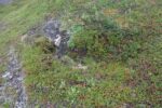 hkb_17-971_kvalsund_2023_002