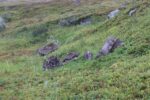 hkb_17-971_kvalsund_2023_012