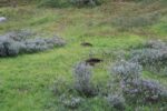 hkb_17-971_kvalsund_2023_017