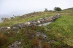 hkb_17-971_kvalsund_2023_029
