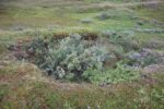 hkb_17-971_kvalsund_2023_036