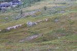 hkb_17-971_kvalsund_2023_041