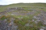 hkb_17-971_kvalsund_2023_046