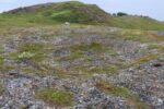 hkb_17-971_kvalsund_2023_047