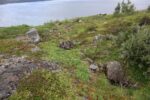 hkb_17-971_kvalsund_2023_052