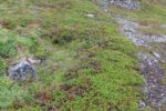 hkb_17-971_kvalsund_2023_054