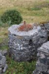 hkb_17-976_bud_2025_183