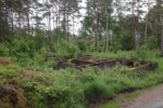 hkb_17-981_klaevold_2023_001