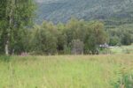 hkb_18-972_nordberg_2023_001