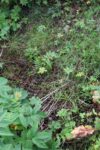hkb_18-972_nordberg_2023_009