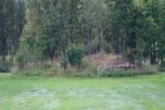 hkb_18-972_nordberg_2023_021