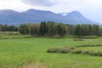 hkb_18-972_nordberg_2023_022
