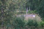 hkb_18-972_nordberg_2023_023