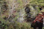 hkb_18-974_purkneset_2025_014
