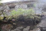 hkb_18-974_purkneset_2025_028