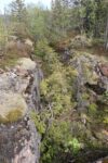 hkb_18-974_purkneset_2025_039