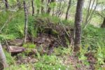 hkb_18-974_purkneset_2025_045